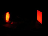 36 LED Flood Bulb Red