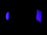 36 LED Spot Bulb UV Duo