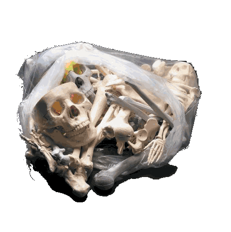 The 12 Pound Bag of Bones 4th Class