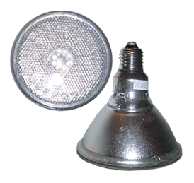 PAR38 120 LED Bulb