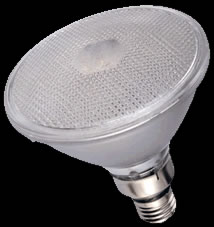 120 LED Spot Bulb UV Duo