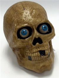 LED COLOR CHANGING SKULL