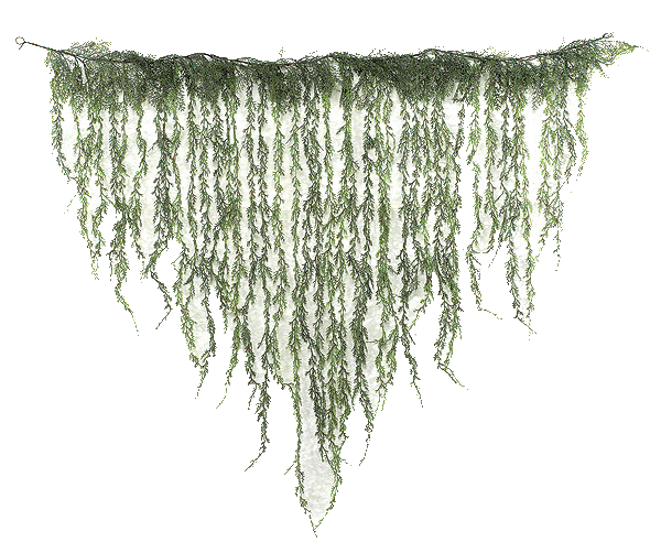 SHOW SPECIAL Weeping Juniper Garland Plastic 55"