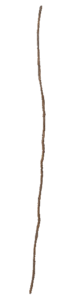 Stick Jungle Vine Plastic 9'