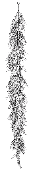 Glittered Lace Lace Twig Garland Plastic 6'