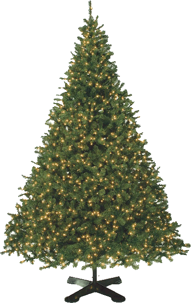 10' Balsam Fir Artificial Christmas Tree