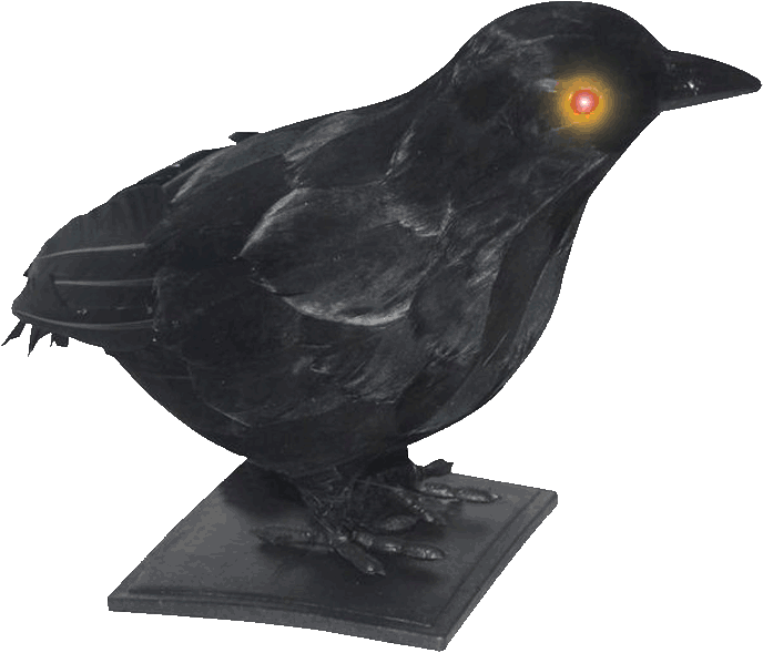 Small Crow with Light up Eyes and Sound