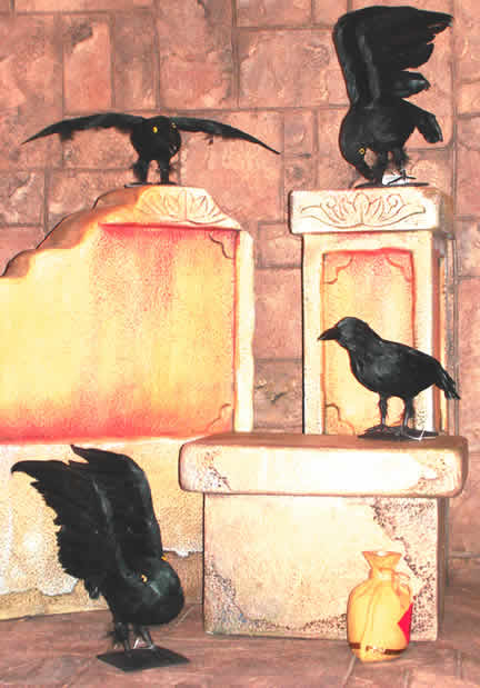 Crows/Ravens