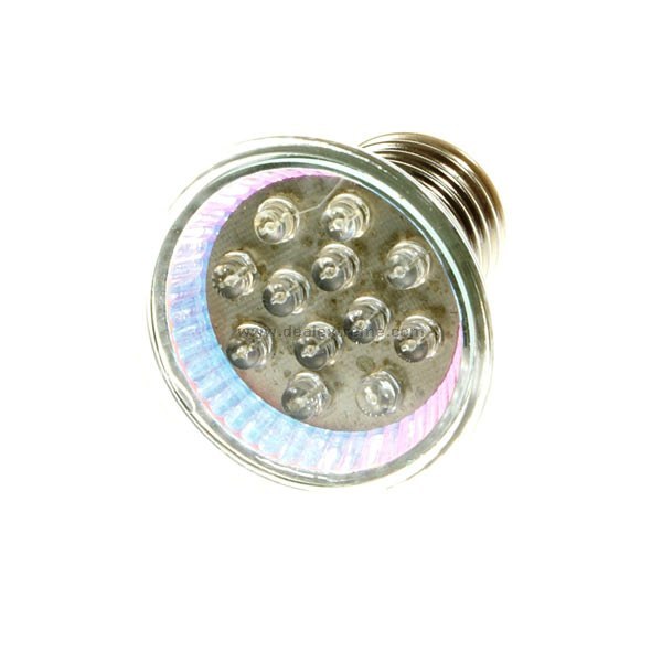 E27 12 LED Bulb