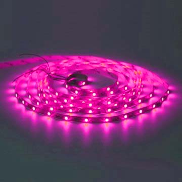 LED Flexible Strip Light - 300 LED 5 Meter 5050 Pink