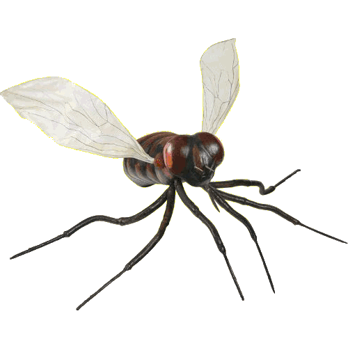 Giant Fly