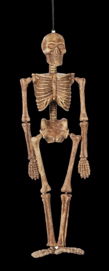 Micro Blucky Blow Molded Skeleton 17"