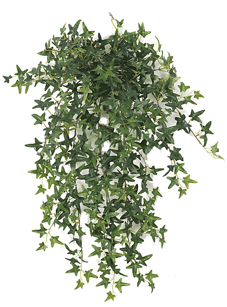 English Ivy Bush Artificial 30"