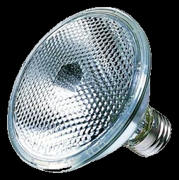 SHOW SPECIAL 50 LED Spot Bulb Cool White 8000K