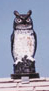 Robo Hoot Owl
