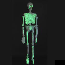 Skeleton - GITD Blucky Blow Mold Skeleton