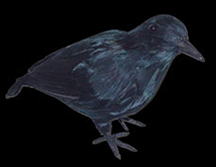 Small Crow Feathered Prop