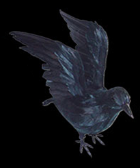 Small Crow Wings Up
