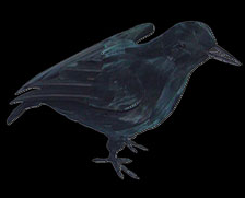 Small Crow Wings Back