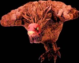 Vulture - Wings Up - Large