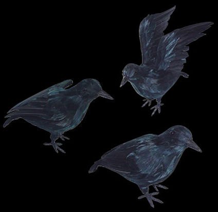 Small Crows - Assorted