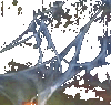Stretch Webs