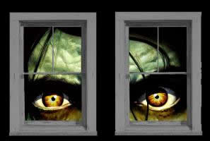 Wow Windows translucent window poster