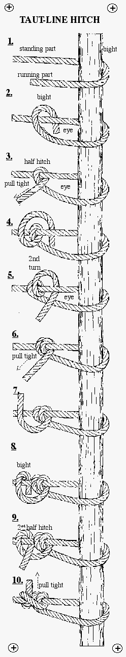 tautline.gif (51825 bytes)